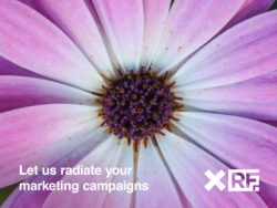 Marketing a new business