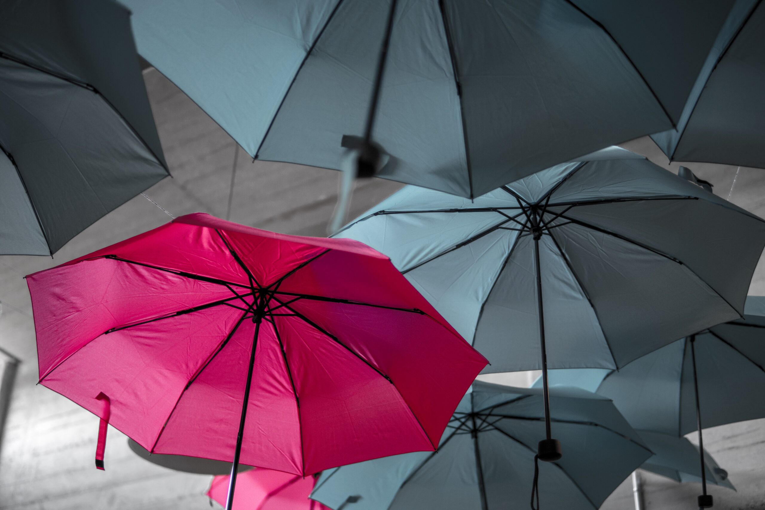 branding red umbrella